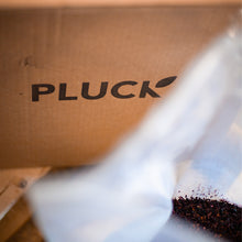 Load image into Gallery viewer, Fancy Sparkling Tea - Hibiscus Berry (0%)
